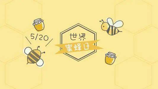 世界蜜蜂日」不仅仅是情侣间的表白「520」是个十分「甜蜜」的日子