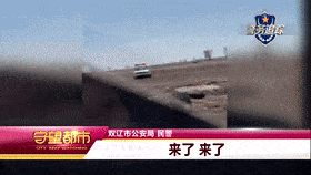 开枪,当场击毙!_双辽市