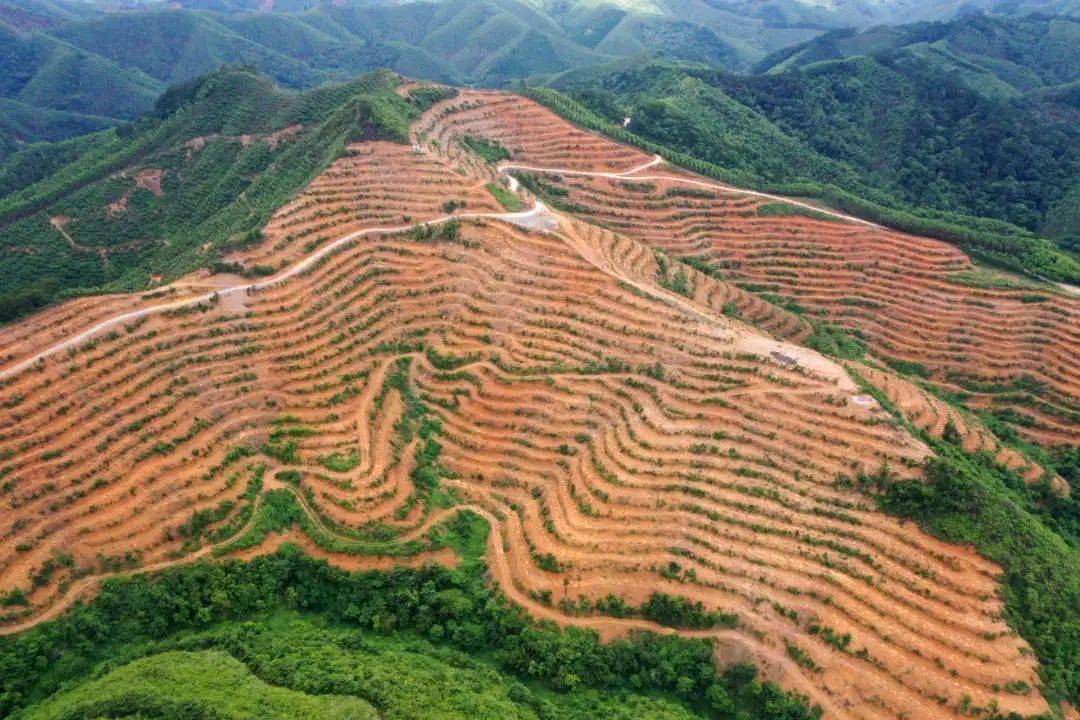 青秀区:坚持