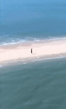夏季最适宜去海边度假,迎着海风奔走在沙堤上,看白色海鸥飞过,心灵