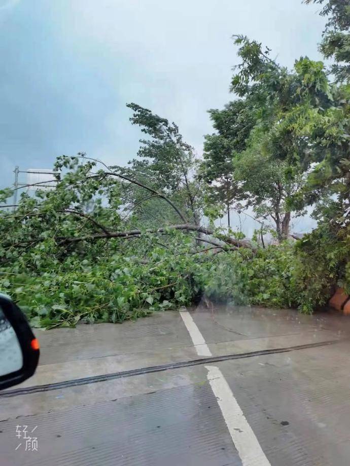 8级大风!暴雨!南昌天气马上大反转