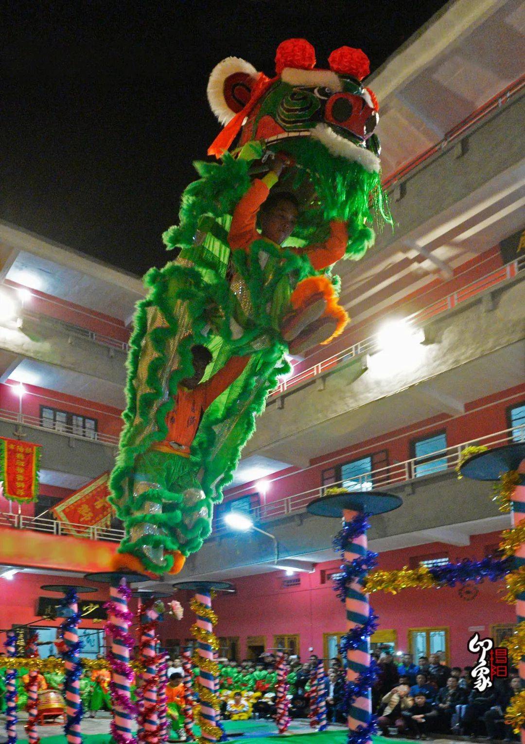 印象揭阳 青狮起舞处,雄姿展风流