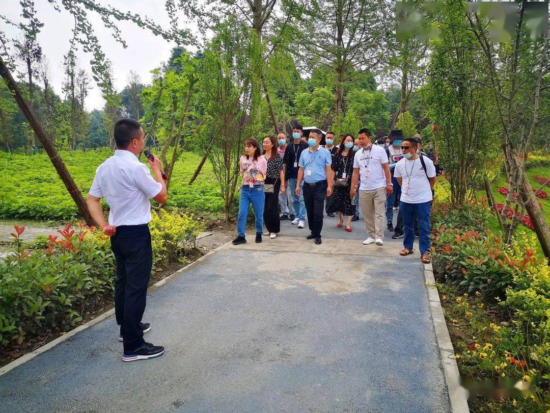 脏乱差变身"微湿地",崇州这个地方"火"了_江源