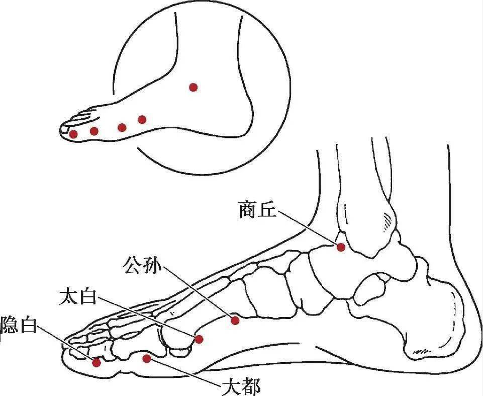 【吕景山】百会,隐白对穴临床应用