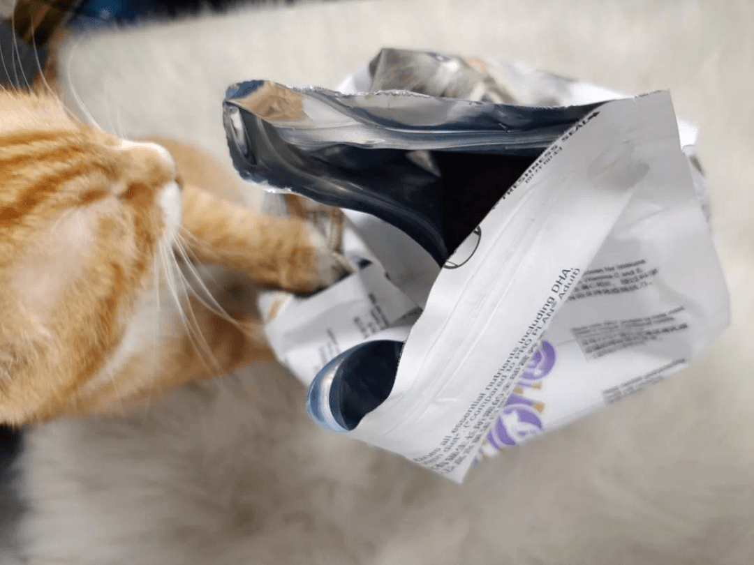 奶量爆炸全网最嗲的小奶猫都在这里了