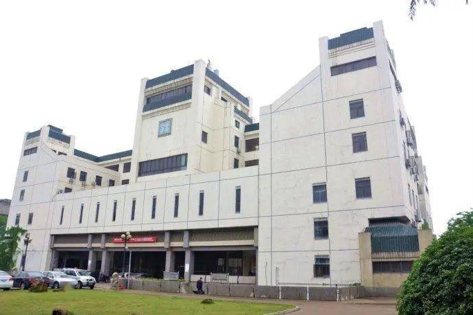 武汉艺术学院 来自搜狐网