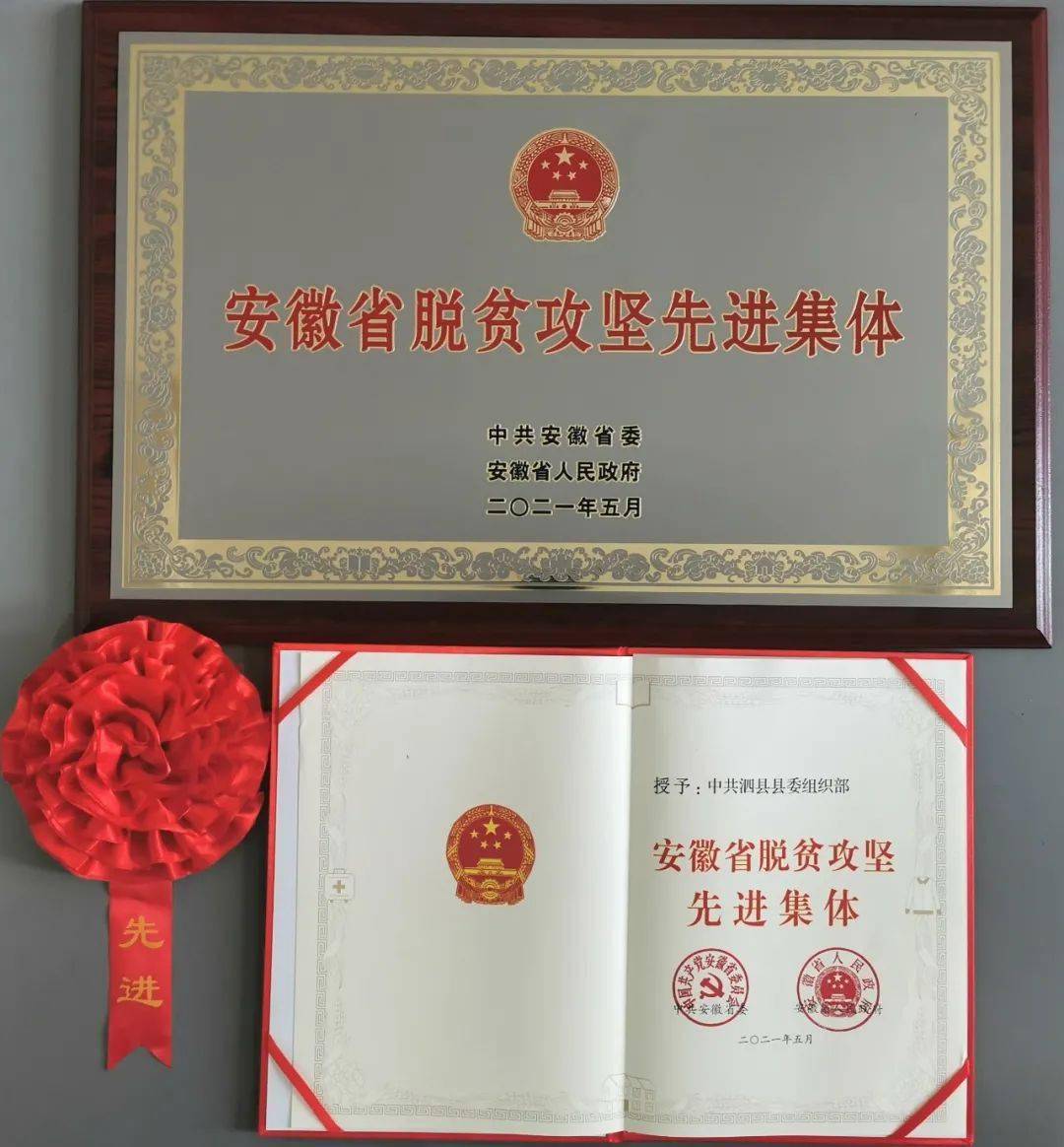 头条| 祝贺!泗县这些个人和集体获省委省政府表彰!