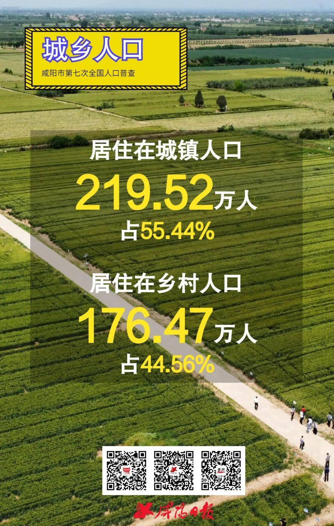 兴平市,乾县,礼泉县,三原县,5个县市区常住人口数量占全市比重为53