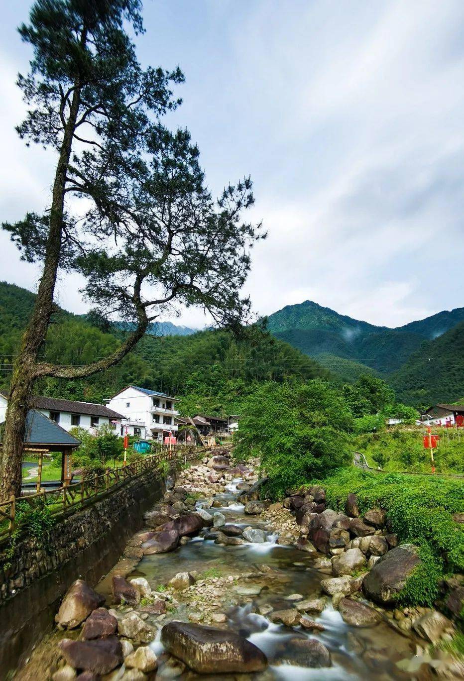 奉献畲乡不老松——记铅山县篁碧畲族乡老年体协副主席雷省身74扬州