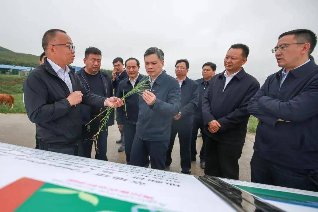 市委常委,威宁自治县委书记肖发君,市委常委,市委组织部部长肖虎分别