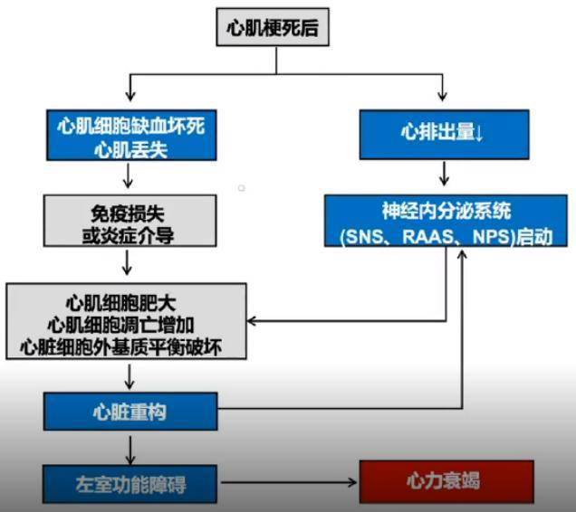 occ2021丨周京敏教授2020心肌梗死后心力衰竭防治专家共识解读