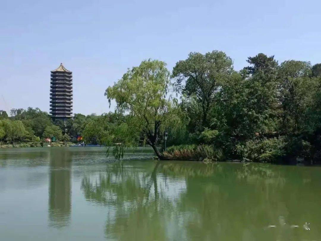 未名初夏摄影:李启生《未名初夏》浓荫蔽日清风爽未名湖畔飘书香