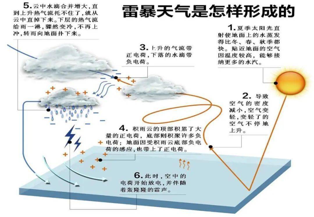 旱天雷背景介绍图片