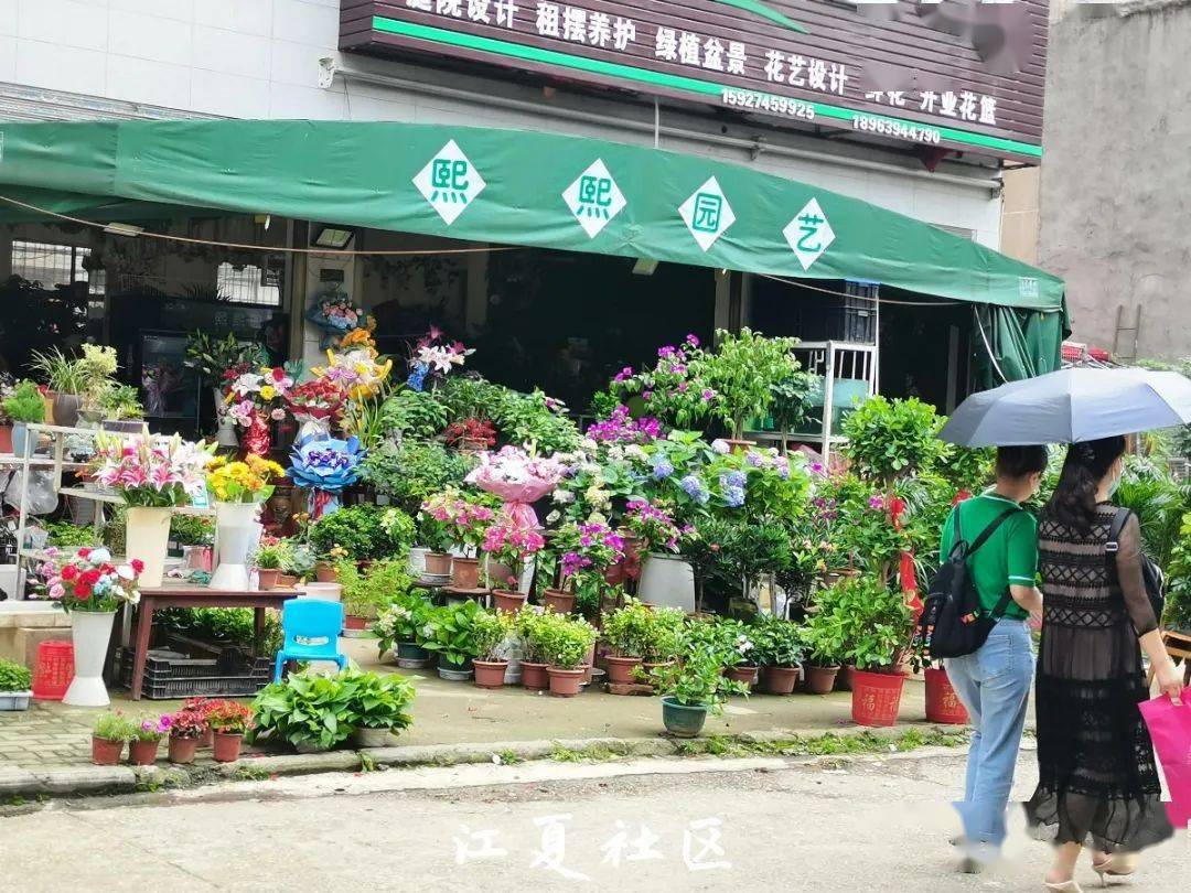 这条街上第二多店铺的当属绿植店,花鸟鱼都有出售.