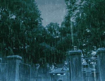 363_279gif 动态图 动图