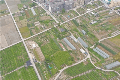 永嘉县诸永高速南城街道新芦村,黄屿村田块瓯海区瞿溪街道溪头街村,蛟