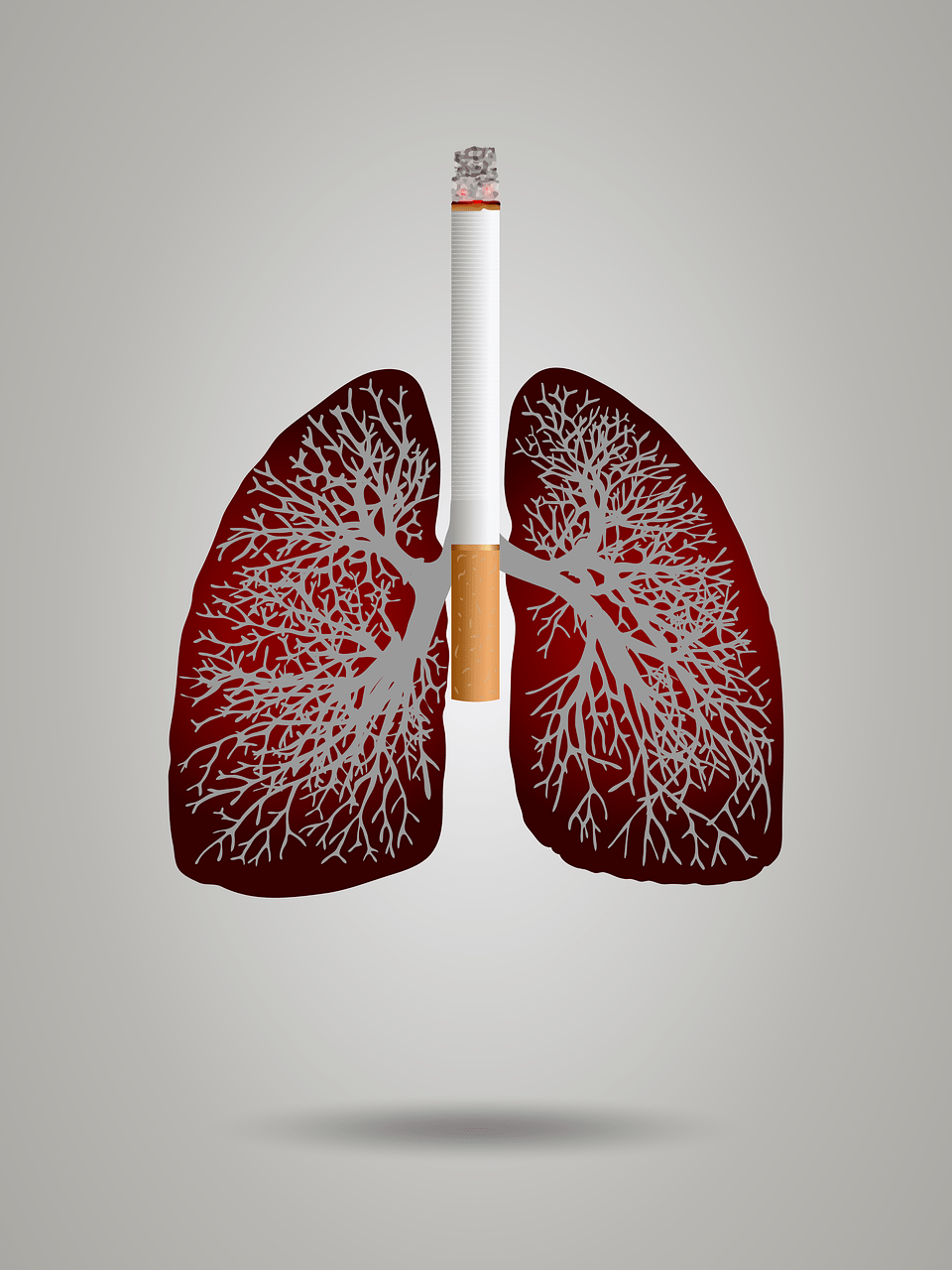 抽烟会对肺部健康造成极大危害   alexey hulsov / pixabay