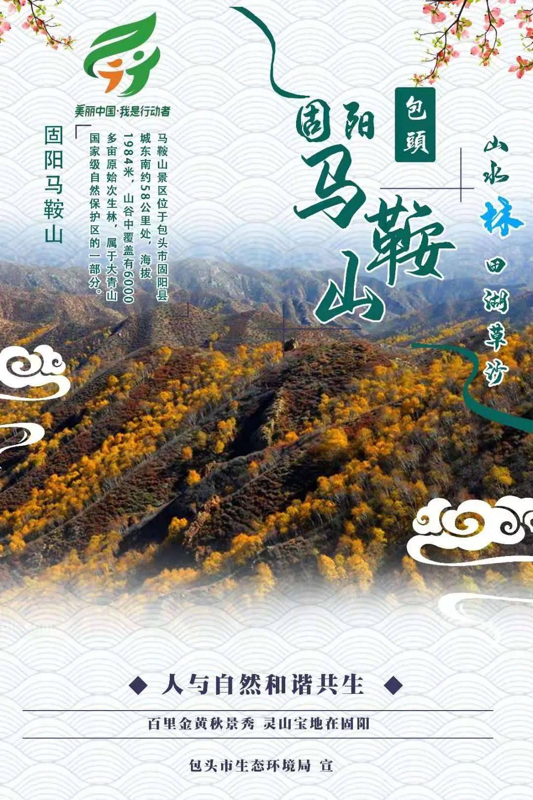 六五环境日包头市主题海报哟