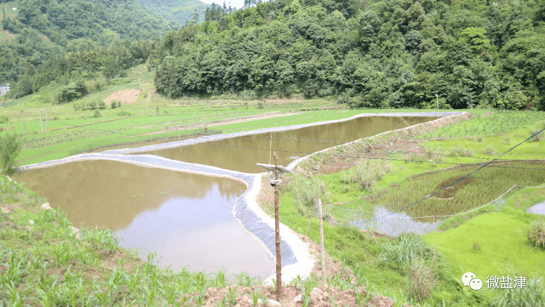 据悉,四坪山水库是一座以农业灌溉供水为主,兼顾农村饮水安全供水等