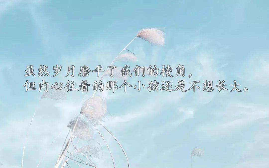 致自己的人生感悟短句:经历只有自己懂的句子