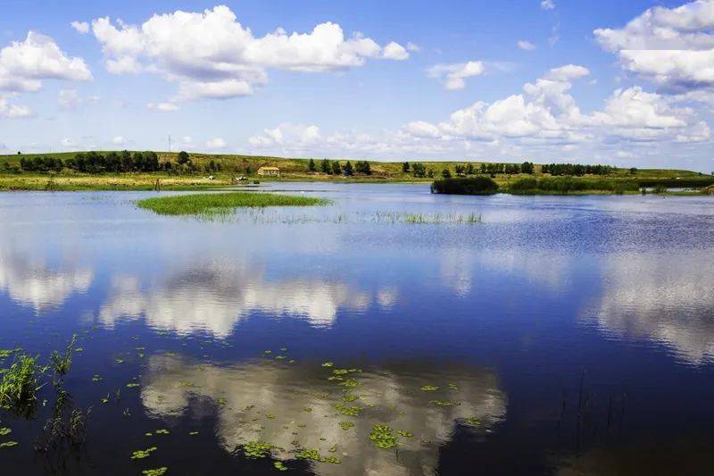 【呼伦贝尔7日】阿尔山森林公园-莫日格勒河-草原牧场-额尔古纳湿地