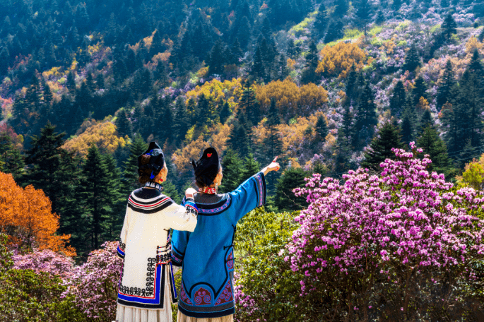 索玛花开大凉山