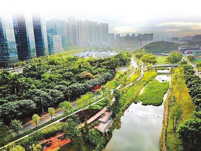 茅洲河大沙河入选广东十大美丽河湖_深圳商报数字报