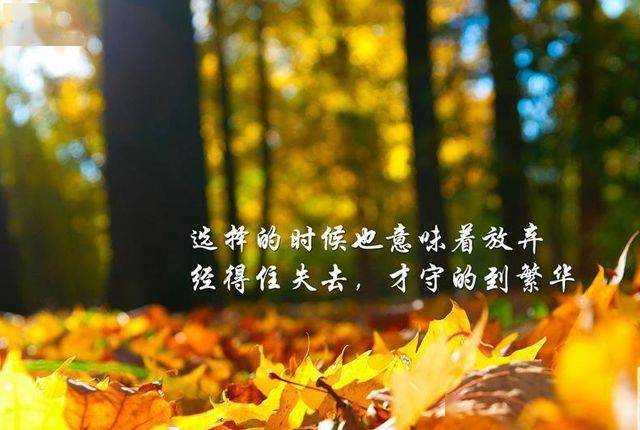 变得防范心重了. 变得冷漠淡然了. 变得无可奈何了. 变得少言寡语了.