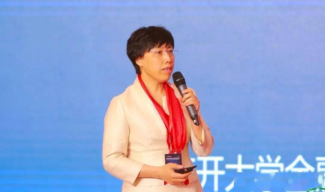 cdfs声音范小云新科技新业态金融数字化中的系统性风险管理