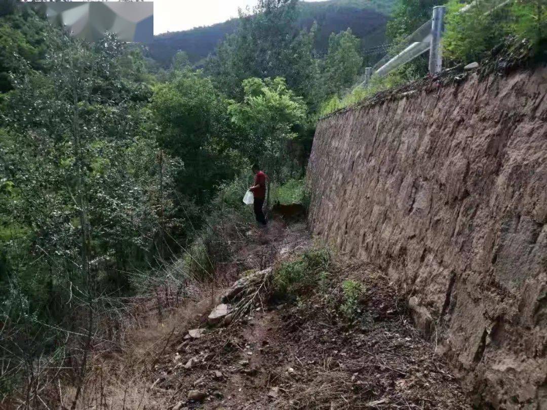 黄龙县白马滩镇:"河"我一起 守护碧水