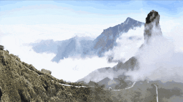 怪石,奇树,妙泉,幽谷,异兽,珍禽,雪景,高路,梵净山单作为一处自然风景