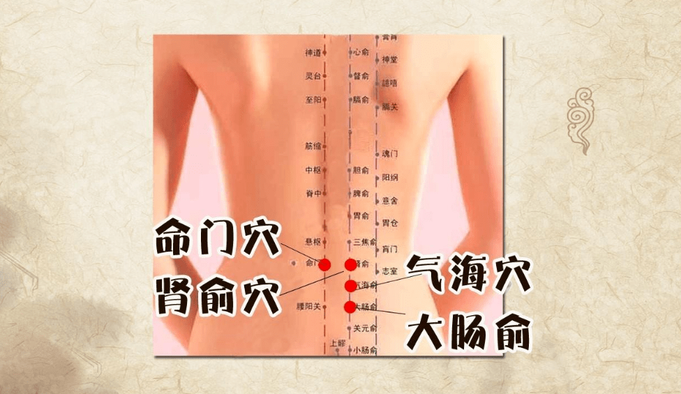 做法:将两手掌对搓至手心发热后,分别放置于命门穴,肾俞穴处,上下