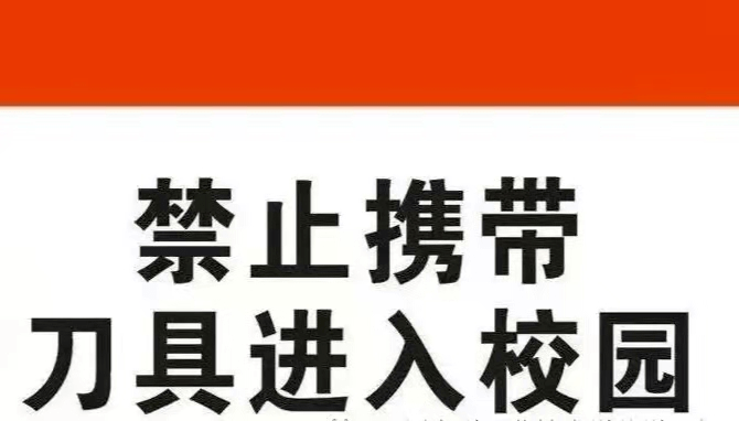 我院将组织开展严禁管制刀具及其他危险品进入校园专项治理活动