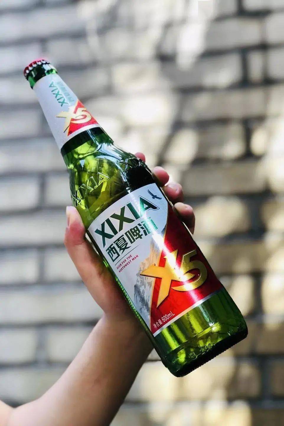 花生,三黄鸡等凉菜 carlsberg 嘉士伯专场 西北汉子喝西夏,x5,x9各来