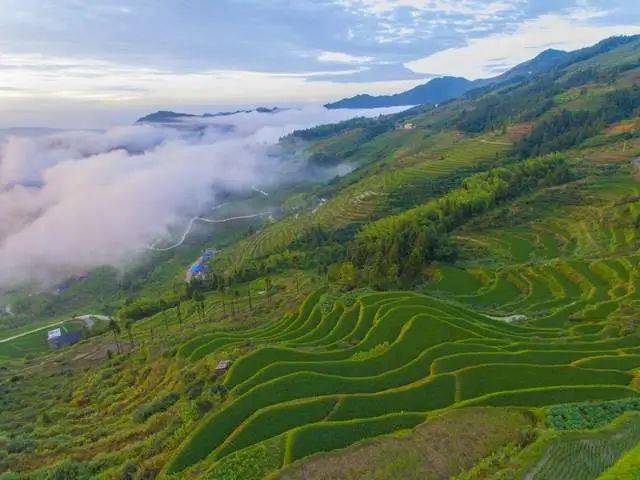 溆浦地|高考硬仗刚歇,期待胜负焦急——莘莘学子请来雪峰山大花瑶景区