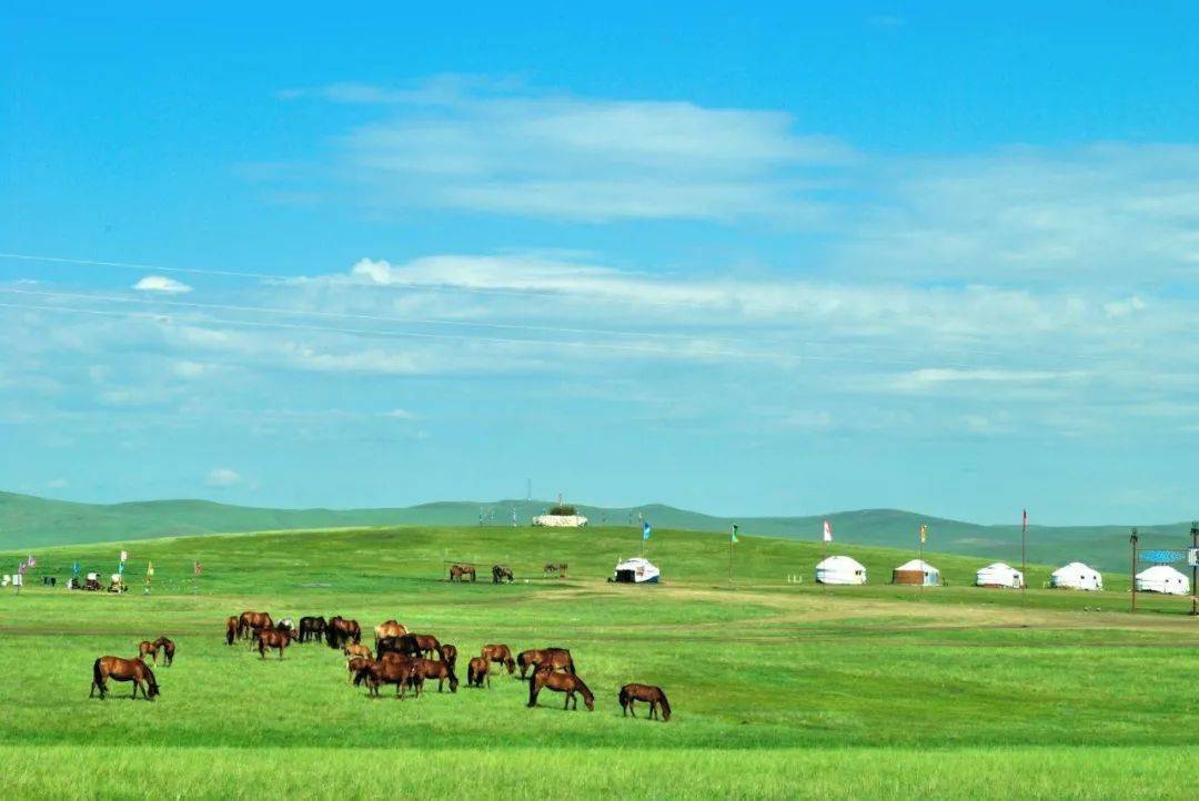 6月20-26号 徒个中国●内蒙古丨呼伦贝尔大草原50公里