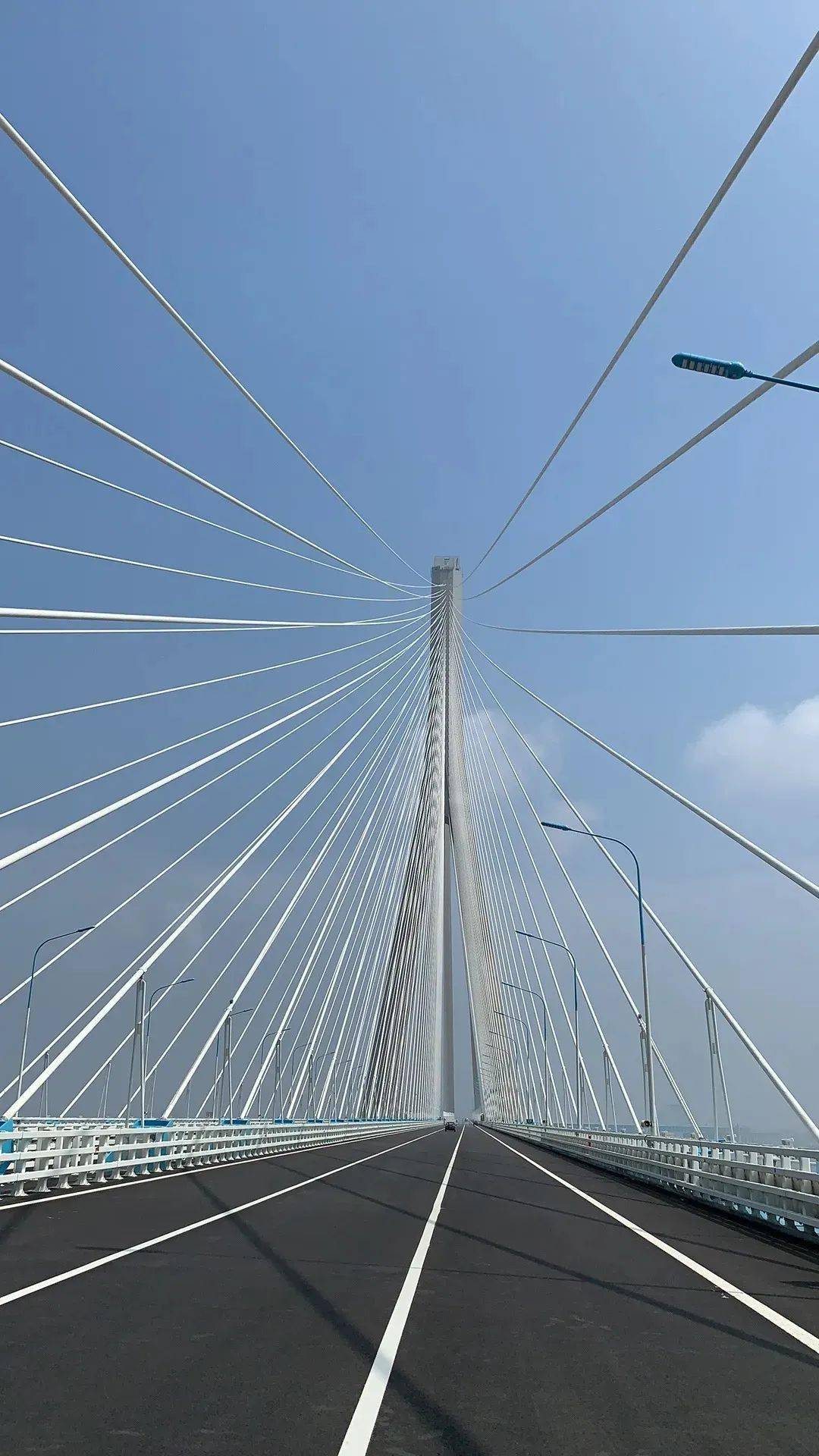 苏通大桥是中国高速公路网中的沿海大通道沈海高速g15跨越长江的过江