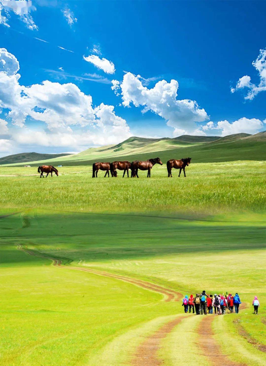 是世界著名的天然牧场,是  世界四大草原之一,被称为"世界上最好的