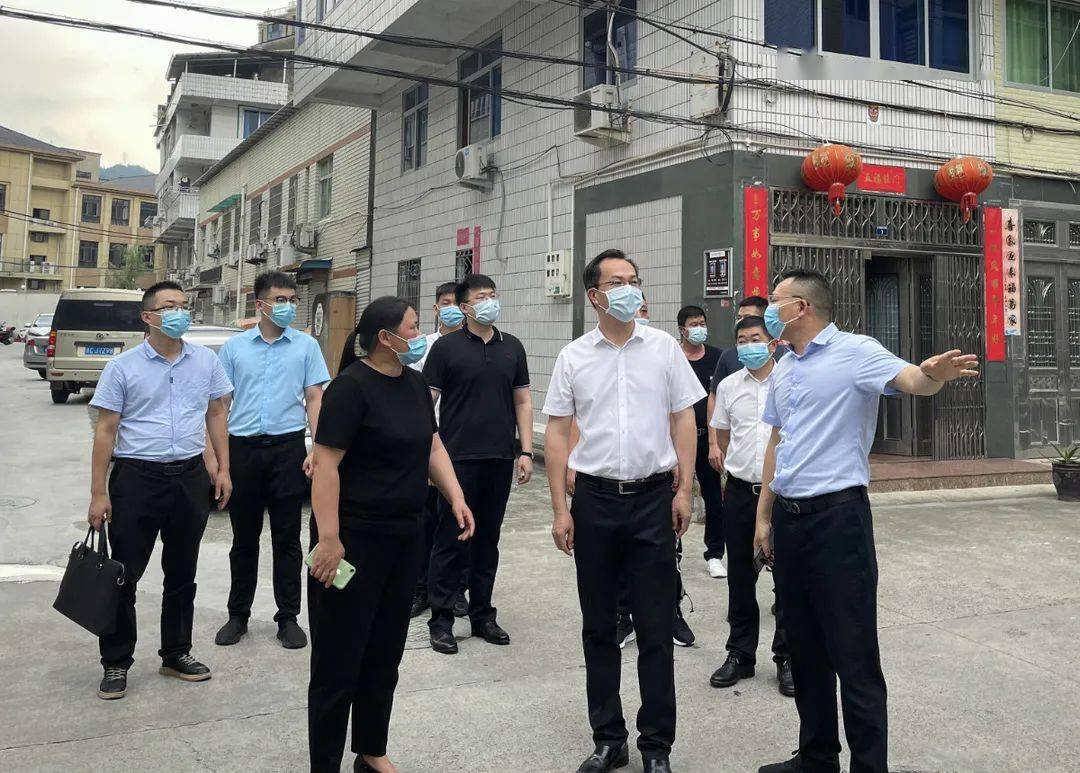 刘中华赴大峃镇检査指导疫情防控工作:严防,严控是当前工作的首要任务
