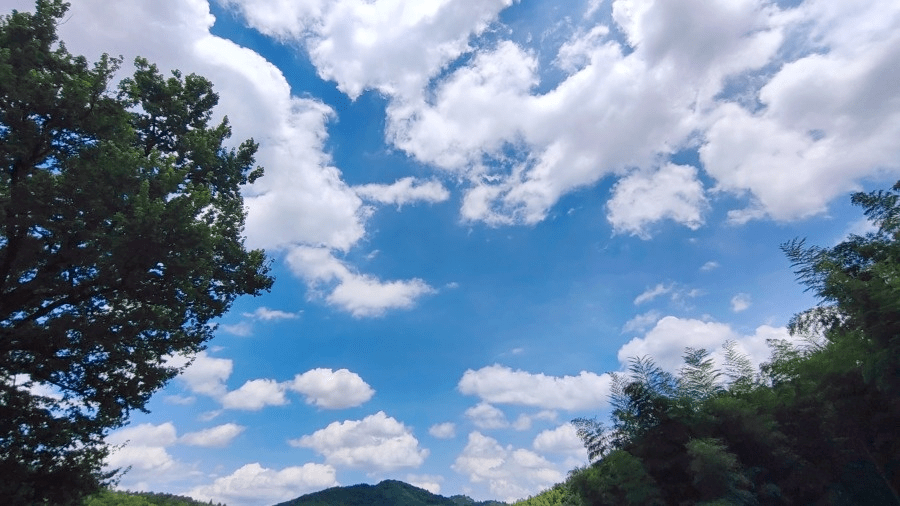 被宫崎骏动漫治愈的夏天,原来就在宁乡!