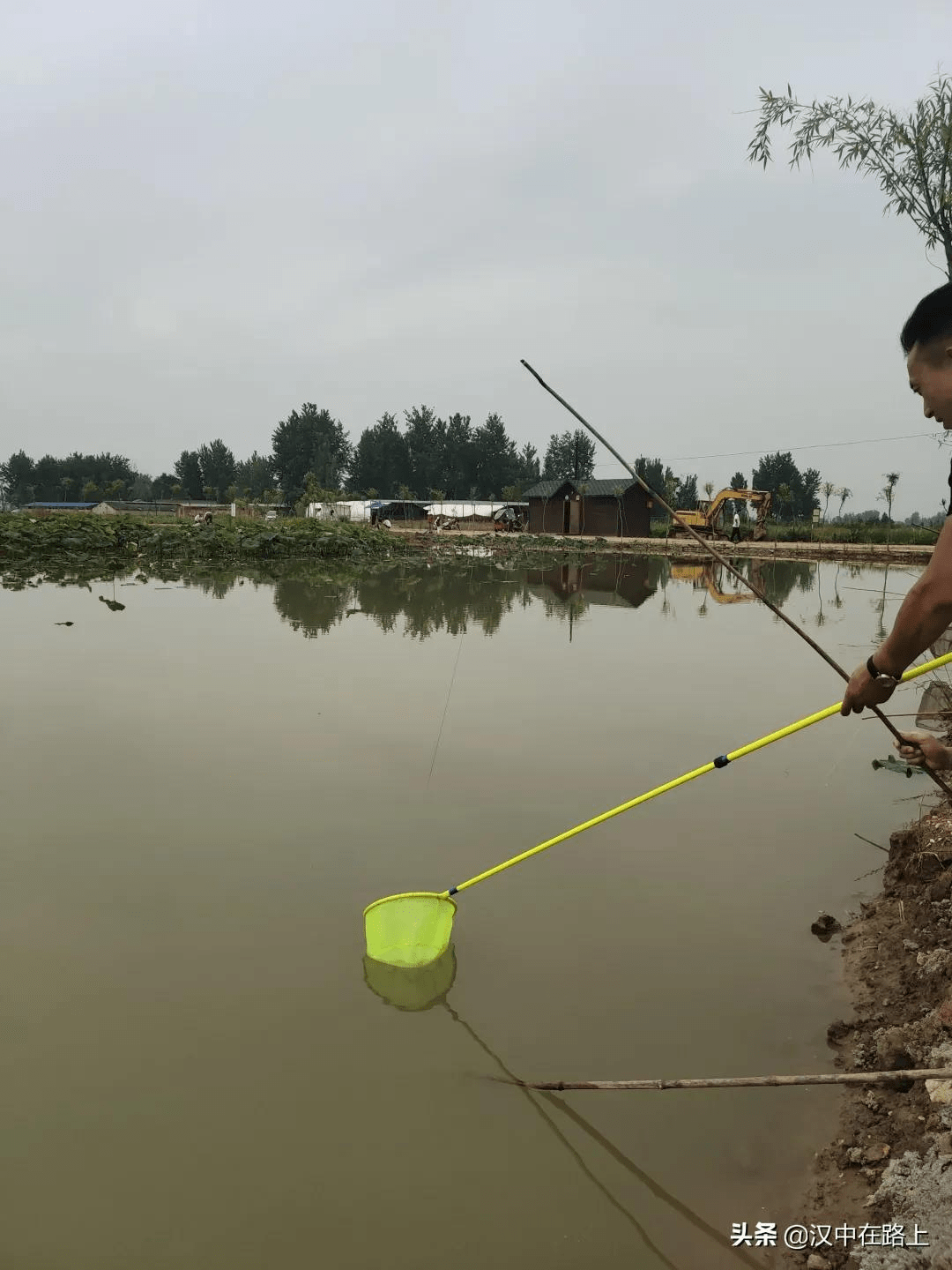 已经肥了!汉中这个地方钓小龙虾超巴适