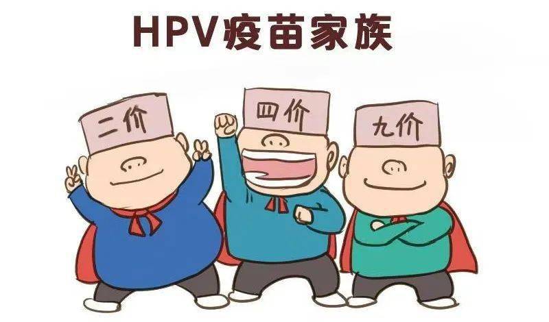 hpv疫苗如何选看完秒懂