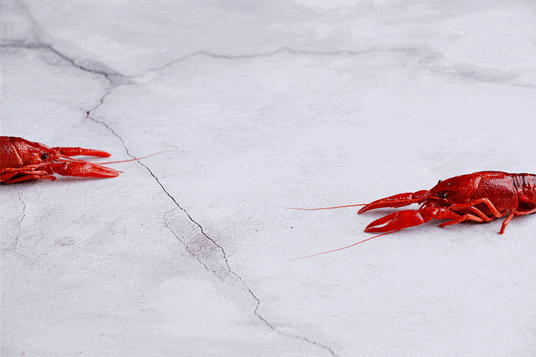 新虾正当时,白兰地熟醉小龙虾,夏日看球必备.
