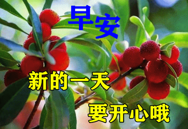 最漂亮早上好动态表情图片大全早晨好动图美图大全