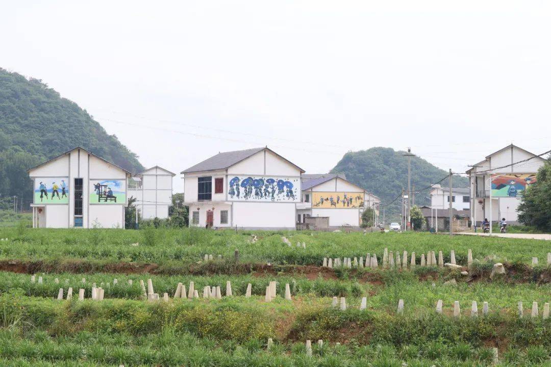 乡村振兴宜居乡村普定后寨村昔日垃圾污水遍地如今山绿水清洁净