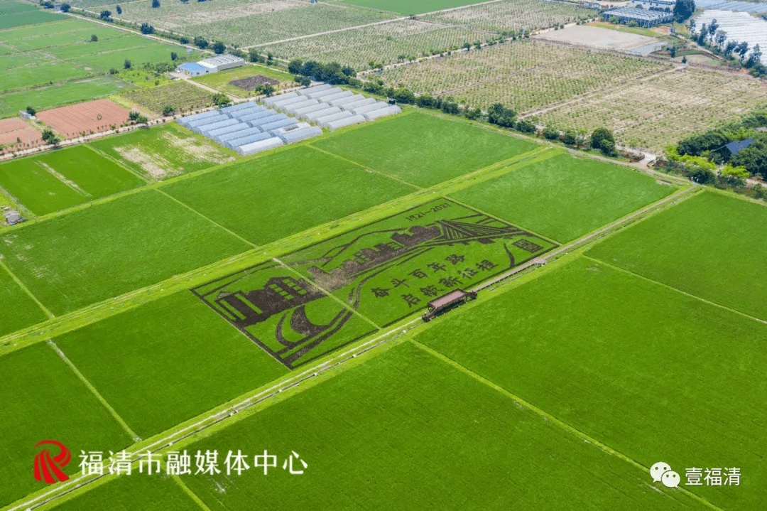 奋斗百年路 启航新征程"稻田艺术画浓缩了福清城市发展景象描绘出在党