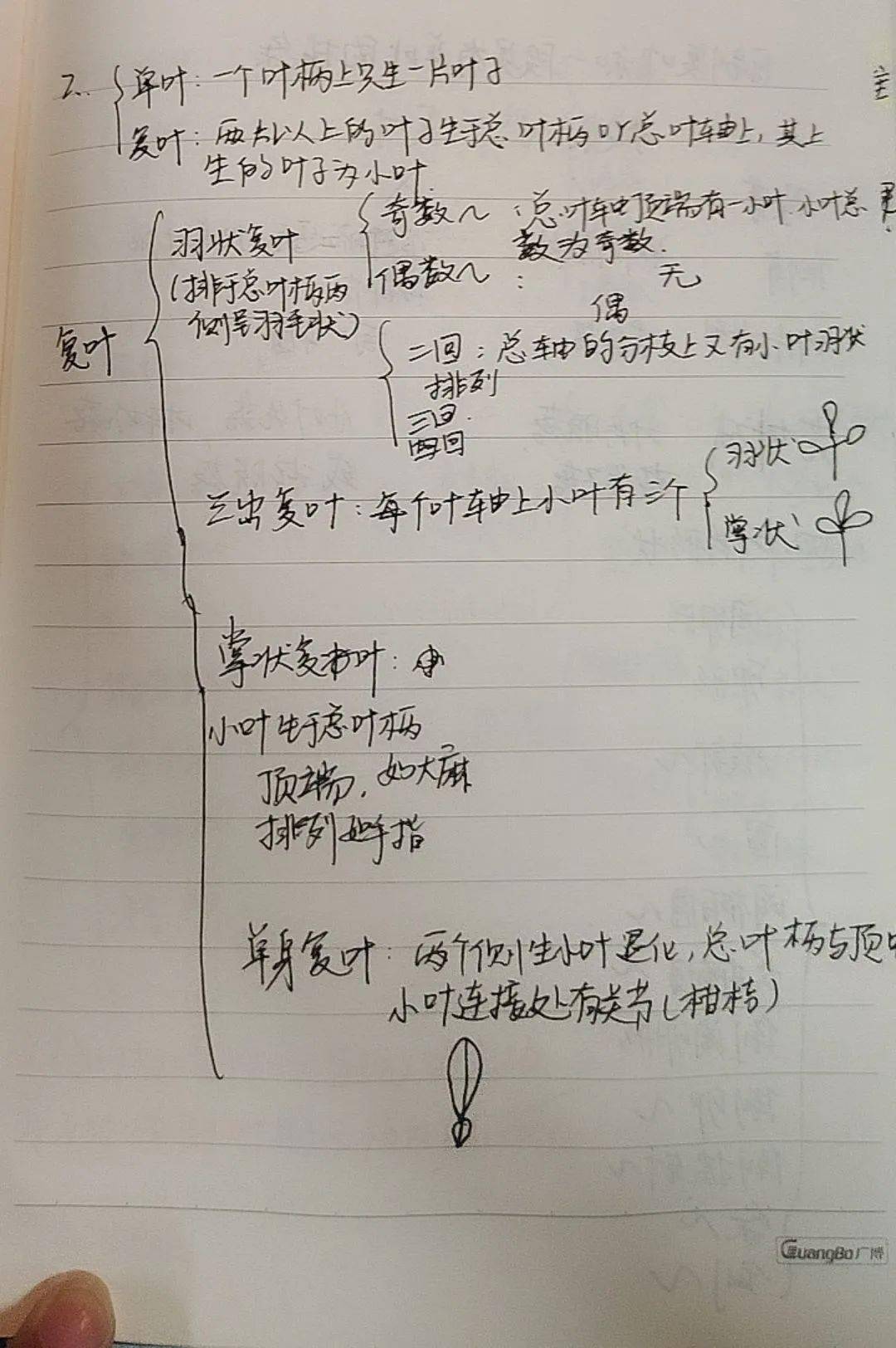 初一生物下册教案_初一生物教案课后指导意见_初一生物教案下载