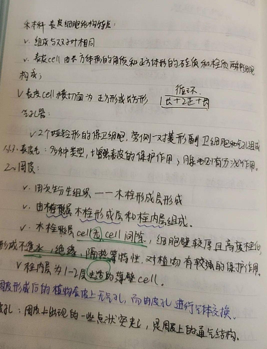 初一生物教案下载_初一生物下册教案_初一生物教案课后指导意见