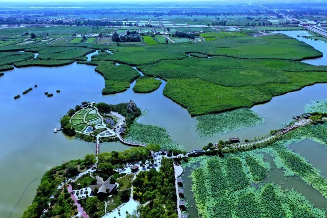 走的很远                 得 鸣翠湖国家湿地公园 塞上江南的