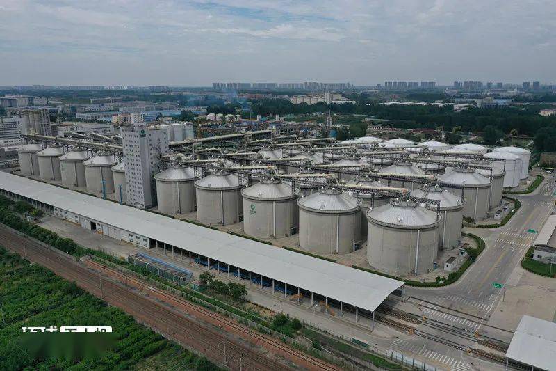 "大国粮仓"蔚为壮观!航拍中储粮新港直属库与中储粮油脂新郑基地
